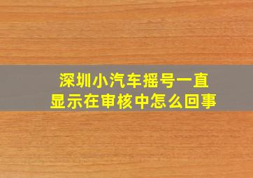 深圳小汽车摇号一直显示在审核中怎么回事