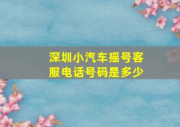 深圳小汽车摇号客服电话号码是多少