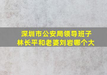 深圳市公安局领导班子林长平和老婆刘岩哪个大