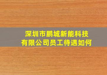 深圳市鹏城新能科技有限公司员工待遇如何