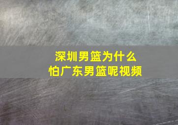 深圳男篮为什么怕广东男篮呢视频