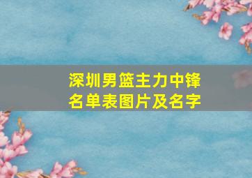 深圳男篮主力中锋名单表图片及名字