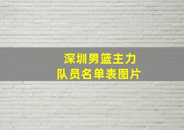 深圳男篮主力队员名单表图片