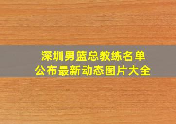 深圳男篮总教练名单公布最新动态图片大全