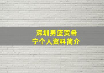 深圳男篮贺希宁个人资料简介