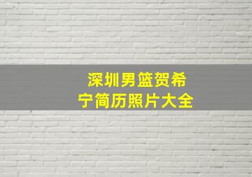 深圳男篮贺希宁简历照片大全