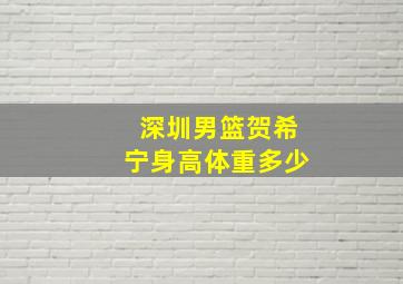 深圳男篮贺希宁身高体重多少