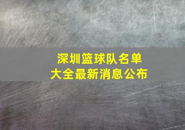 深圳篮球队名单大全最新消息公布