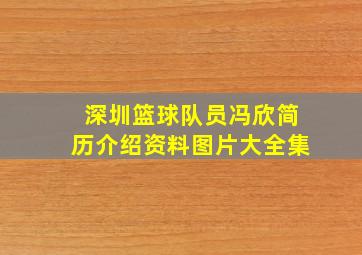 深圳篮球队员冯欣简历介绍资料图片大全集