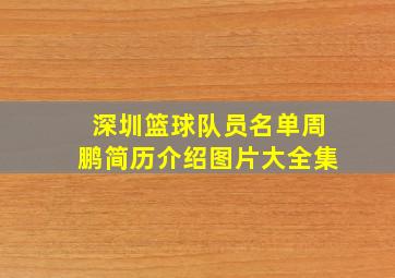 深圳篮球队员名单周鹏简历介绍图片大全集