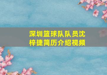 深圳篮球队队员沈梓捷简历介绍视频