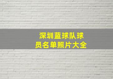 深圳蓝球队球员名单照片大全