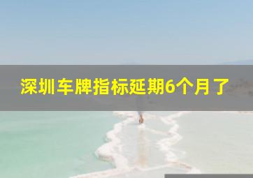 深圳车牌指标延期6个月了