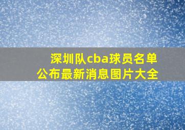 深圳队cba球员名单公布最新消息图片大全