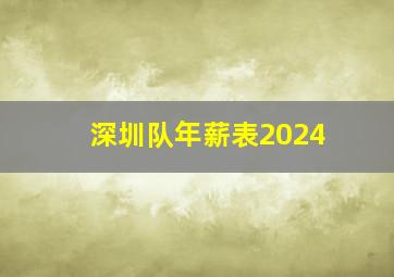 深圳队年薪表2024