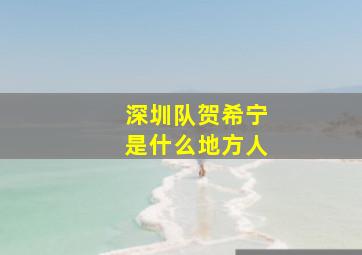 深圳队贺希宁是什么地方人