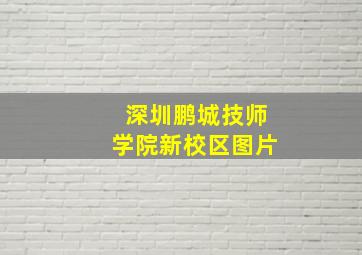 深圳鹏城技师学院新校区图片