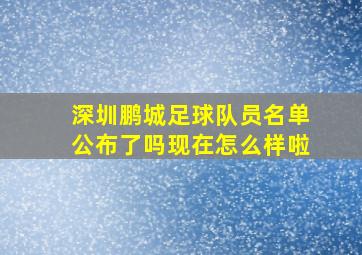 深圳鹏城足球队员名单公布了吗现在怎么样啦