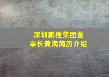 深圳鹏程集团董事长黄海简历介绍