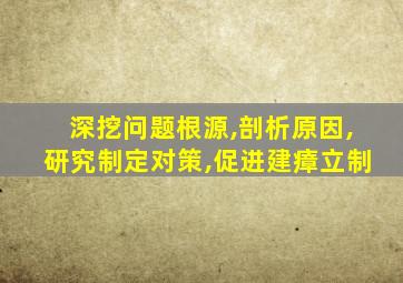 深挖问题根源,剖析原因,研究制定对策,促进建瘴立制