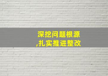 深挖问题根源,扎实推进整改