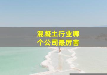 混凝土行业哪个公司最厉害