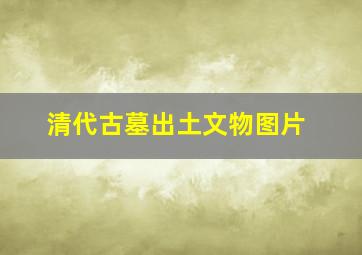 清代古墓出土文物图片