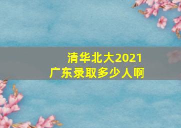 清华北大2021广东录取多少人啊