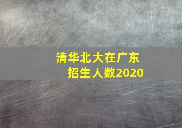 清华北大在广东招生人数2020