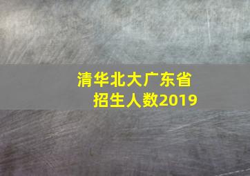 清华北大广东省招生人数2019