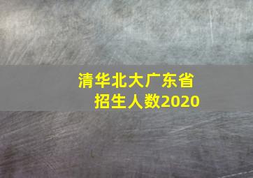 清华北大广东省招生人数2020