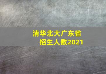 清华北大广东省招生人数2021