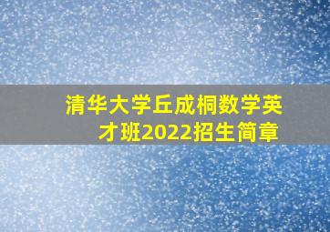 清华大学丘成桐数学英才班2022招生简章