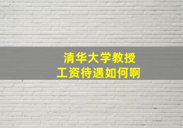 清华大学教授工资待遇如何啊