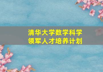 清华大学数学科学领军人才培养计划