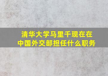 清华大学马里千现在在中国外交部担任什么职务