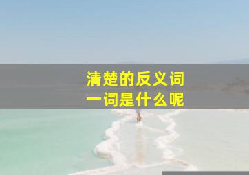 清楚的反义词一词是什么呢