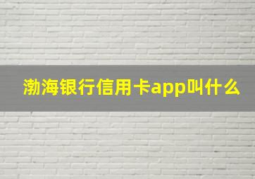 渤海银行信用卡app叫什么