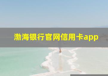 渤海银行官网信用卡app