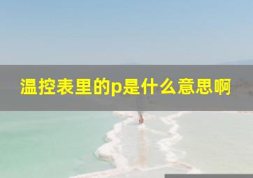 温控表里的p是什么意思啊