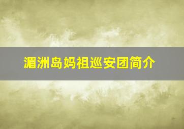 湄洲岛妈祖巡安团简介