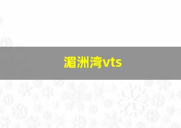 湄洲湾vts