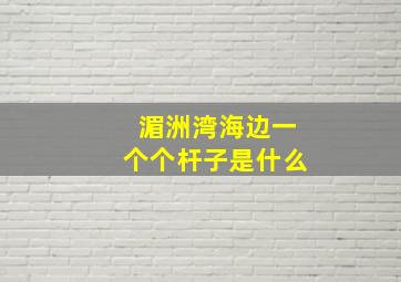 湄洲湾海边一个个杆子是什么