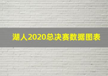 湖人2020总决赛数据图表