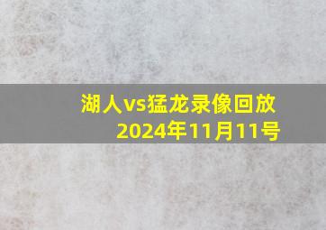 湖人vs猛龙录像回放2024年11月11号