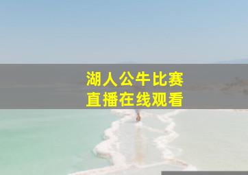 湖人公牛比赛直播在线观看