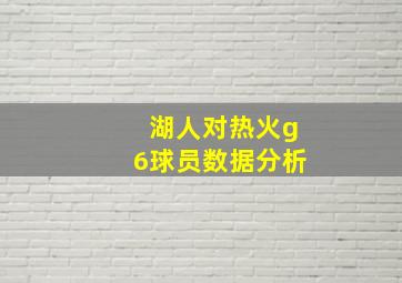 湖人对热火g6球员数据分析