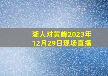 湖人对黄峰2023年12月29日现场直播