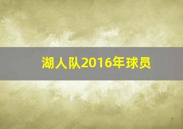 湖人队2016年球员