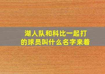 湖人队和科比一起打的球员叫什么名字来着